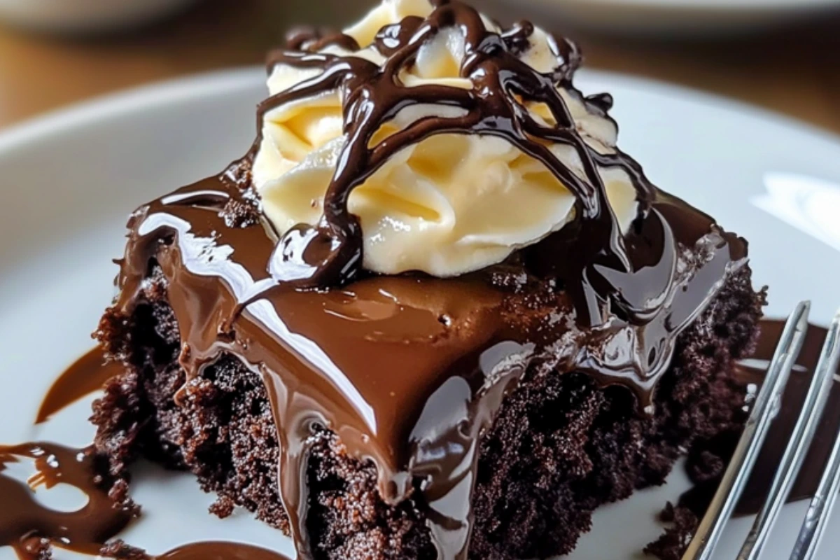 Easy Hot Fudge Chocolate Pudding Cake